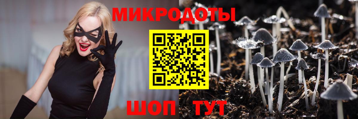 Галлюциногенные грибы Cubensis Большой Камень