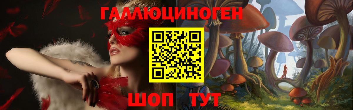 Большой Камень  Псилоцибиновые грибы прущие грибы  Вход с VPN 